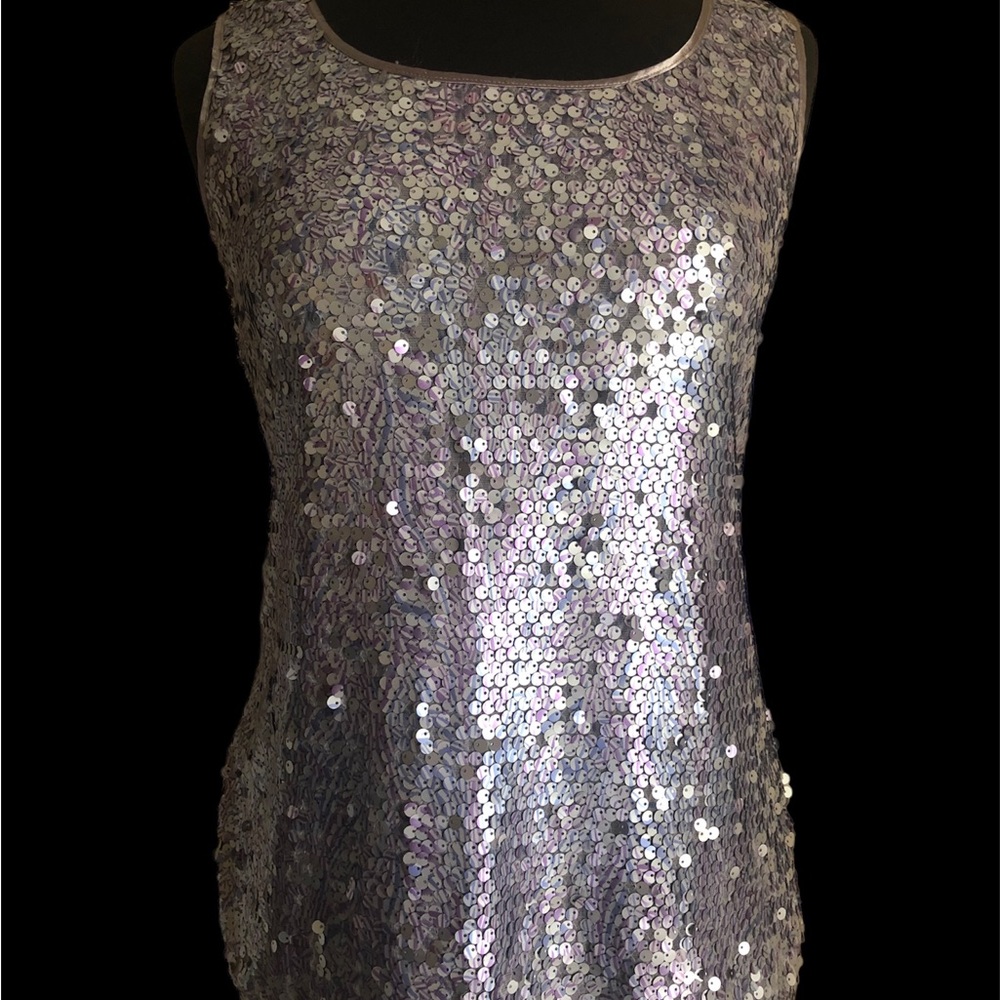 NWT Metallic Silver Sequin Top